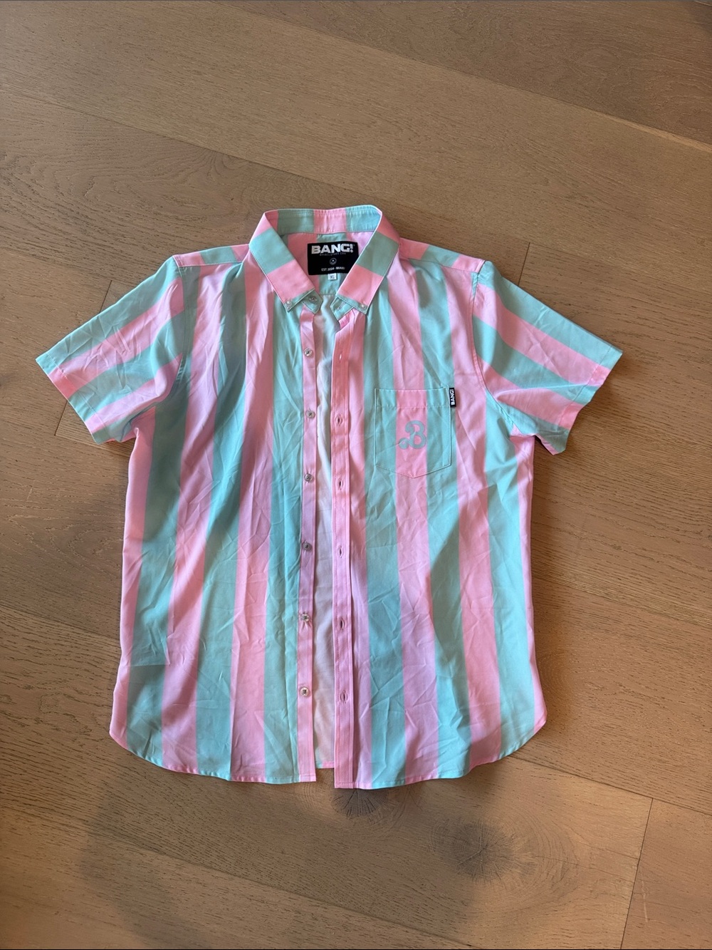 Men's Short-Sleeve Pink & Mint Stripe Button-Up Shirt- Ken & Barbie